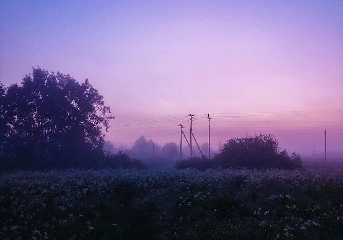博鱼：让知识汇聚成机会的导航者